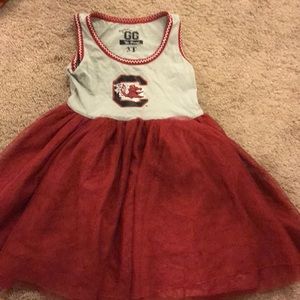 South Carolina Gamecocks